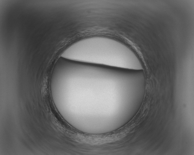 X0000084560018200702231014