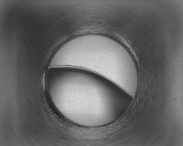 X0000084560019200702231013