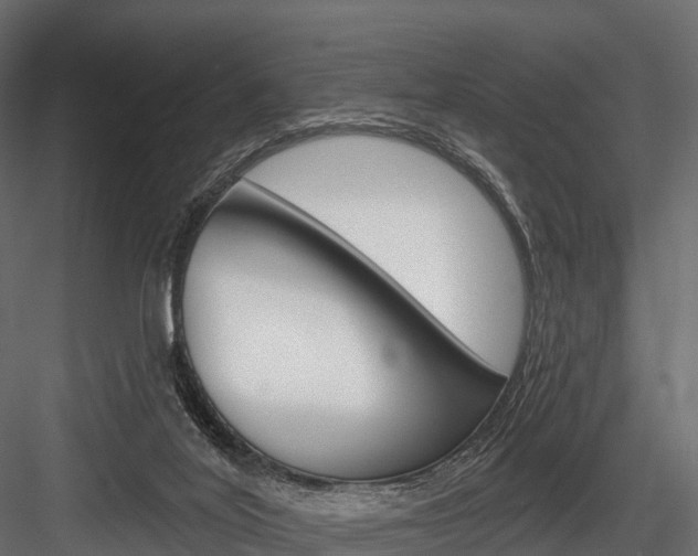 X0000084560020200702231013
