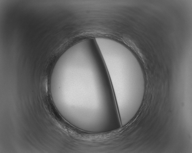 X0000084560021200702231013
