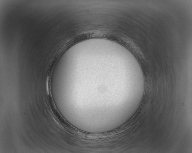 X0000084560022200702231013