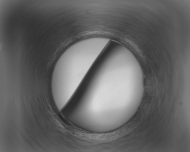 X0000084560023200702231013