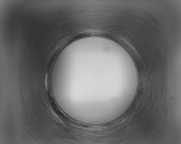 X0000084560024200702231013