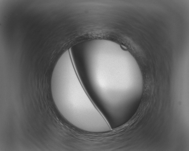 X0000084560025200702231013