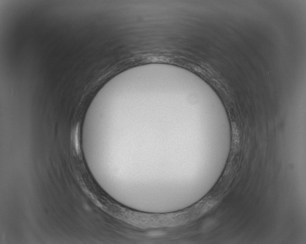 X0000084560028200702231013