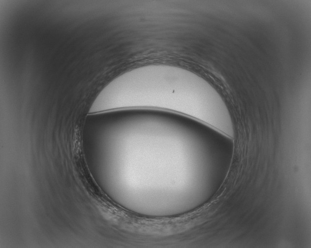 X0000084560029200702231013
