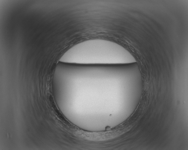 X0000084560030200702231013