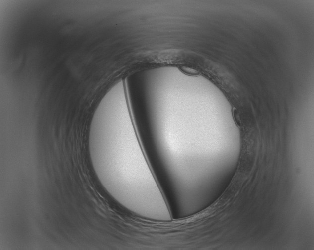 X0000084560031200702231013
