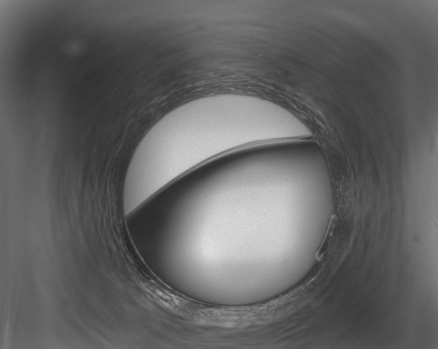X0000084560033200702231013