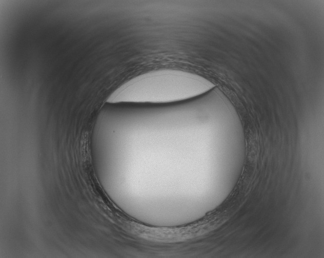 X0000084560034200702231013