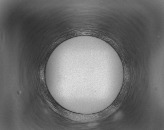 X0000084560036200702231013