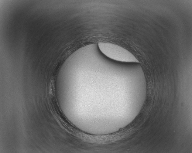 X0000084560038200702231013