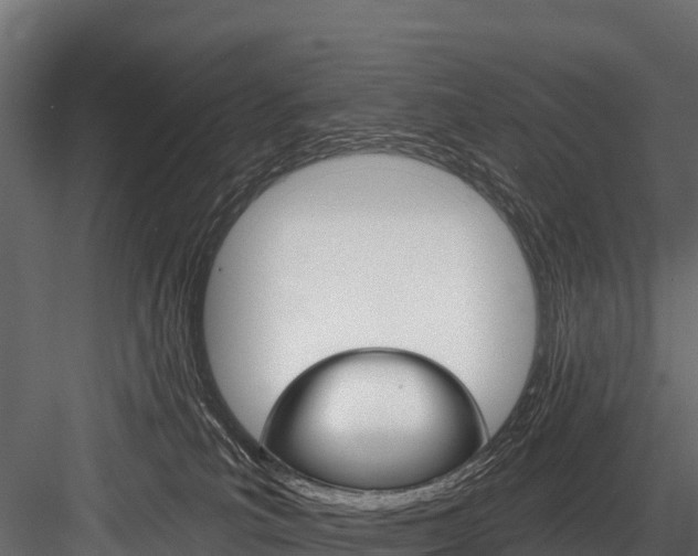X0000084560039200702231013