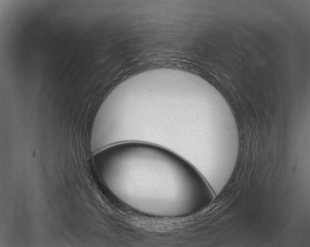X0000084560040200702231013