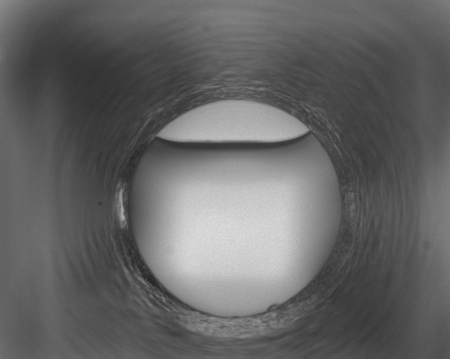X0000084560042200702231013