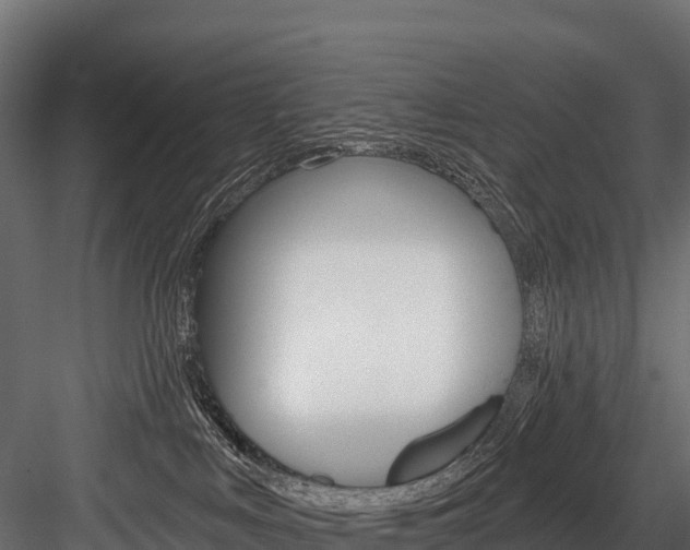 X0000084560043200702231013