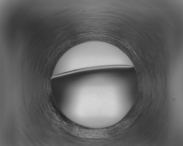 X0000084560044200702231013