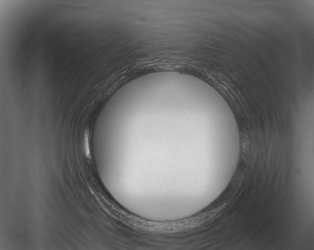 X0000084560046200702231013