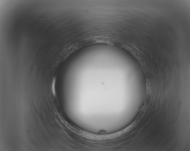 X0000084560047200702231013