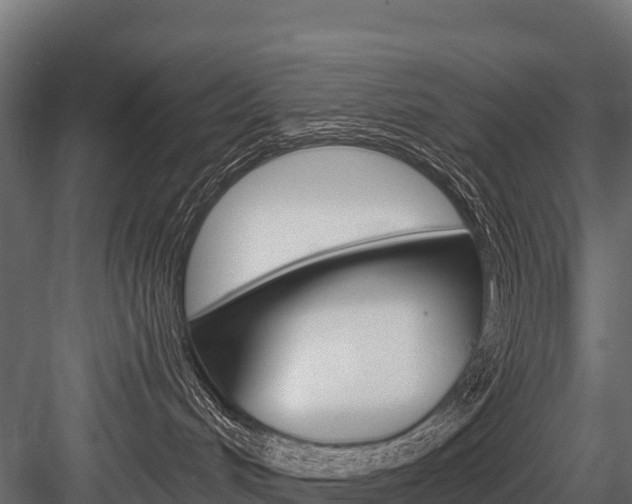 X0000084560048200702231013