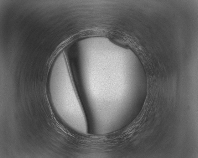X0000084560051200702231012