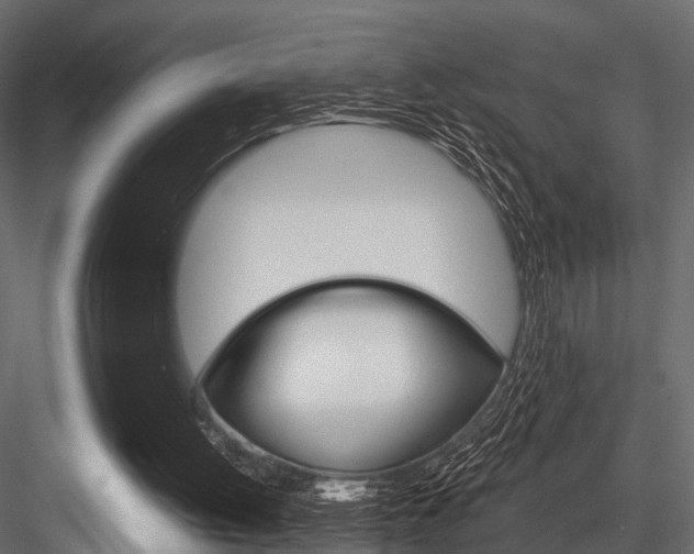 X0000084560052200702231012