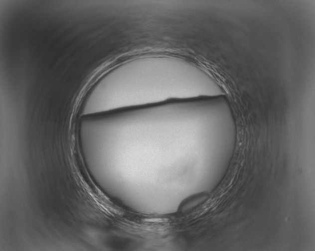 X0000084560053200702231012