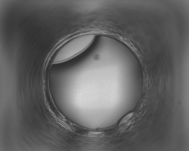 X0000084560055200702231012