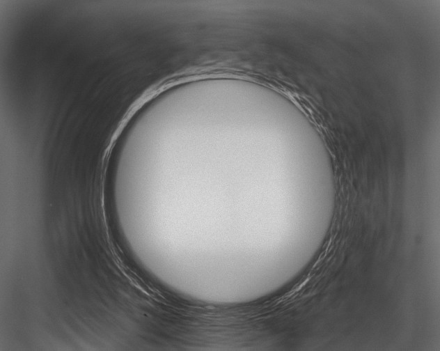 X0000084560056200702231012