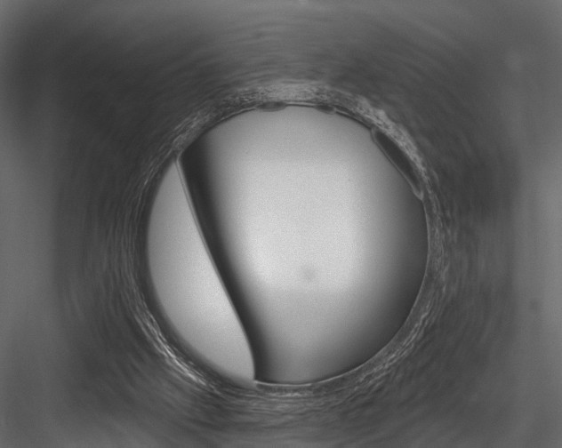 X0000084560057200702231012