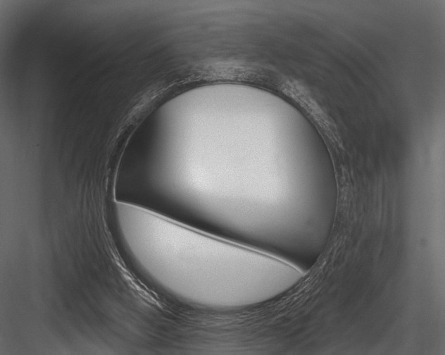 X0000084560058200702231012