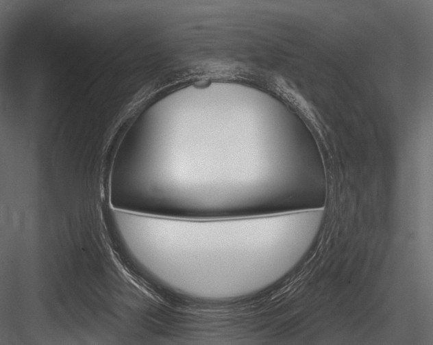 X0000084560059200702231012