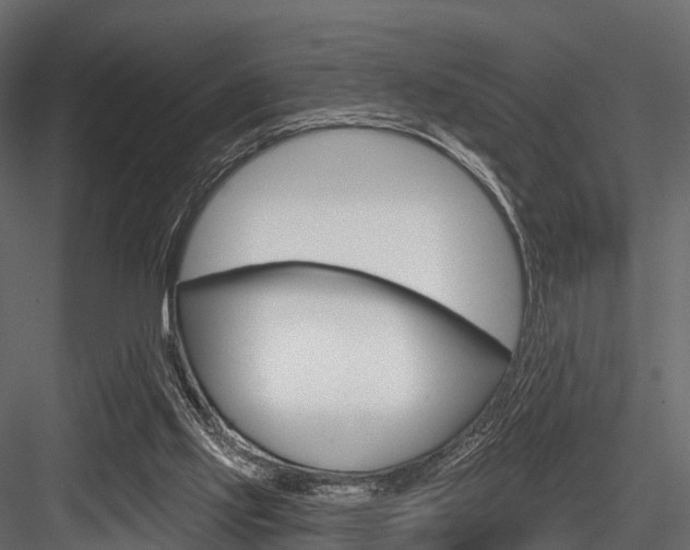 X0000084560061200702231012
