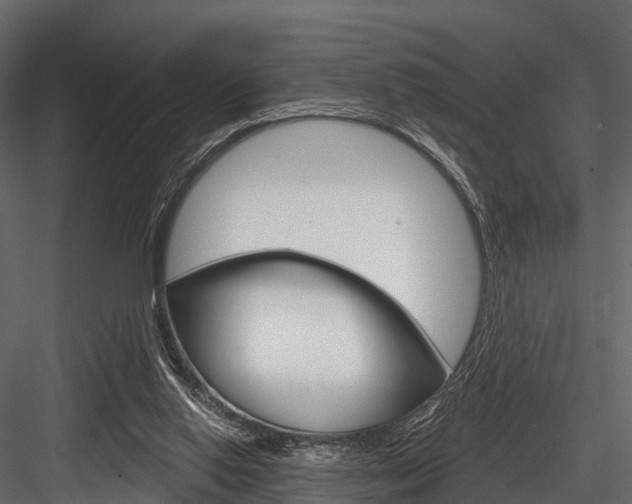 X0000084560062200702231012