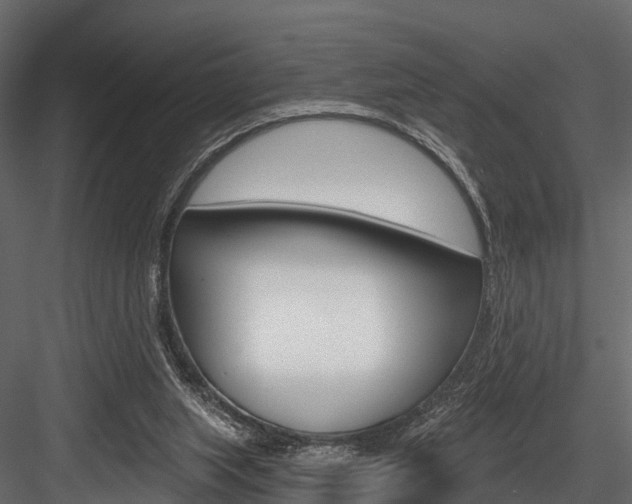X0000084560063200702231012