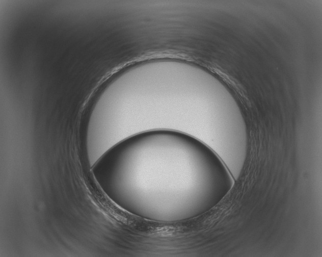 X0000084560064200702231012