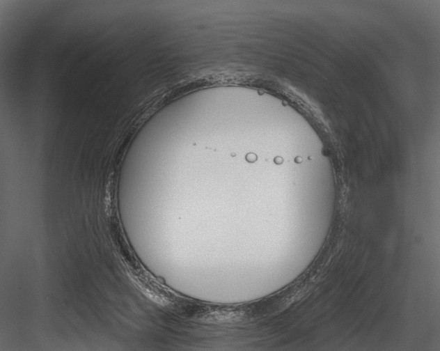 X0000084560065200702231012