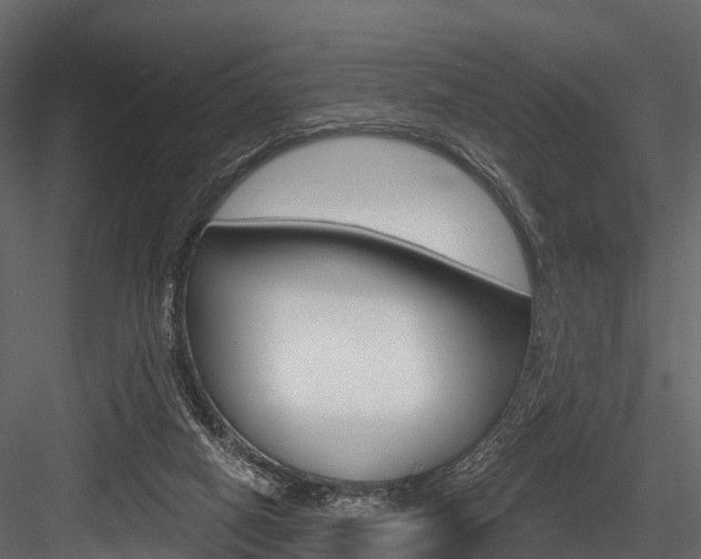 X0000084560066200702231012