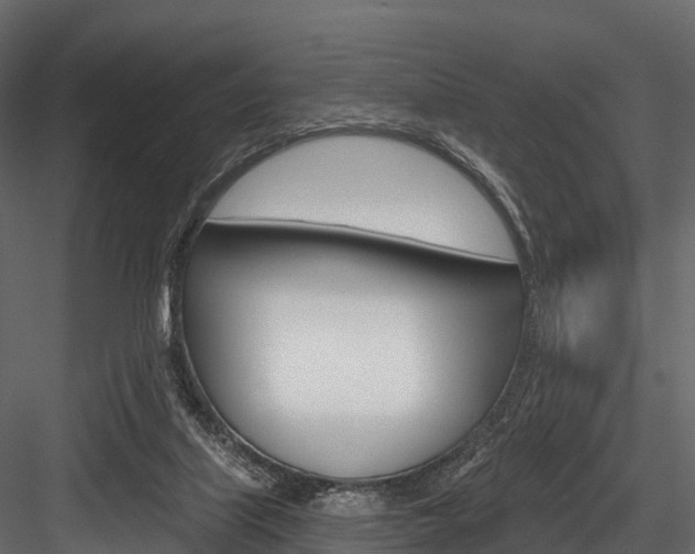 X0000084560067200702231012