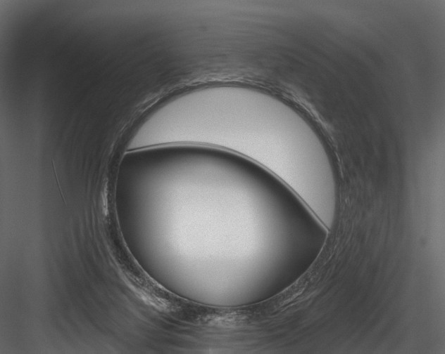 X0000084560068200702231012