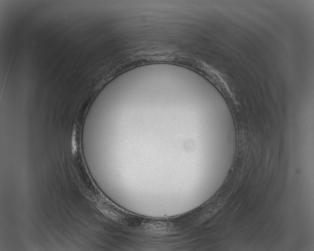 X0000084560069200702231012
