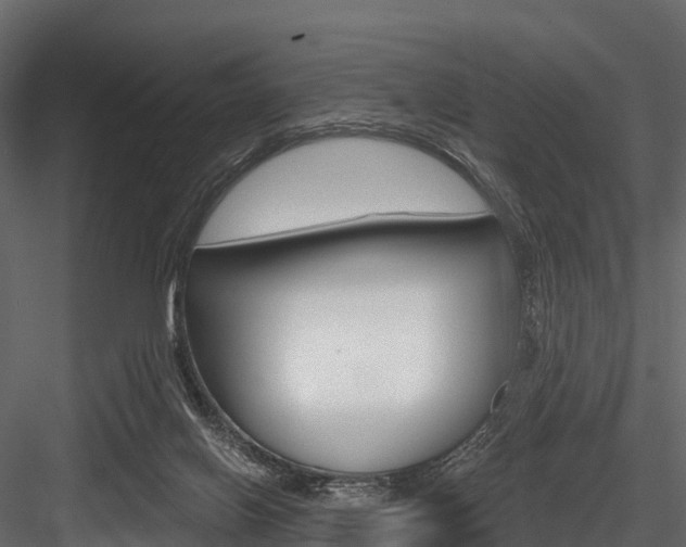 X0000084560070200702231013