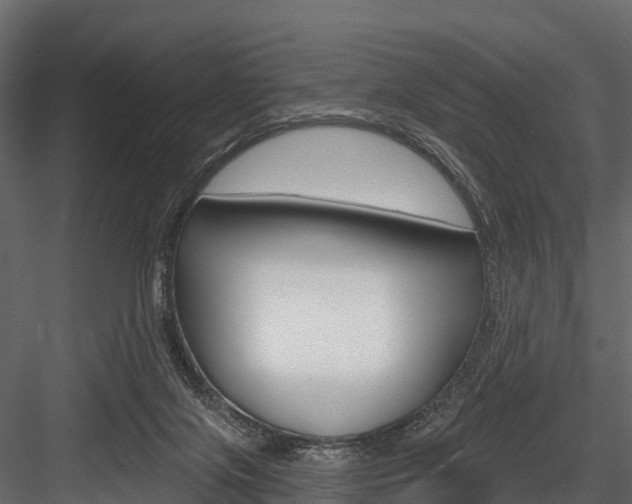 X0000084560071200702231013