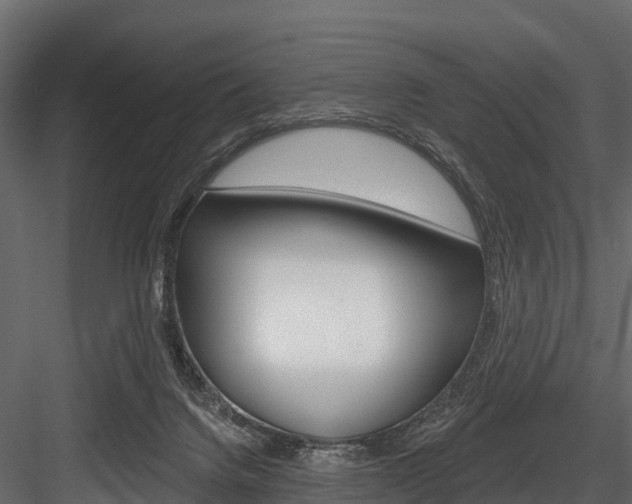X0000084560072200702231013