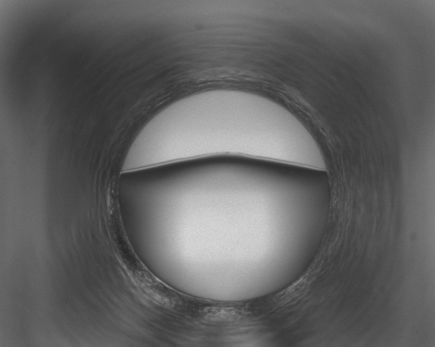 X0000084560074200702231013