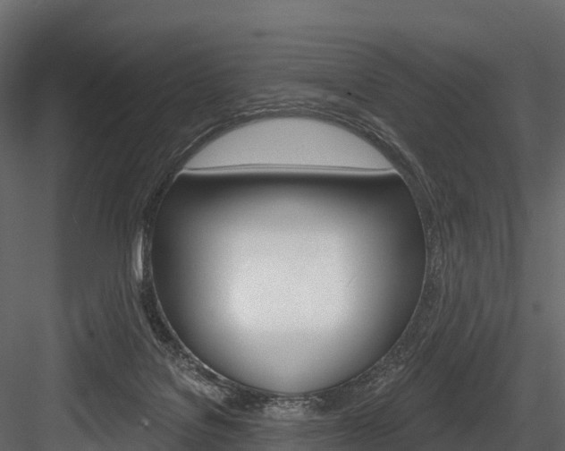 X0000084560076200702231013