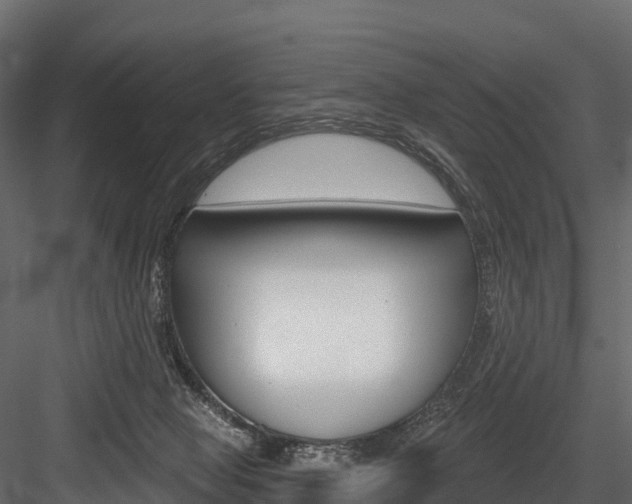 X0000084560077200702231013