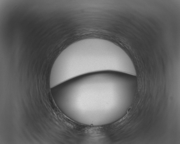 X0000084560078200702231013