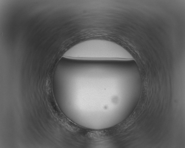 X0000084560079200702231013