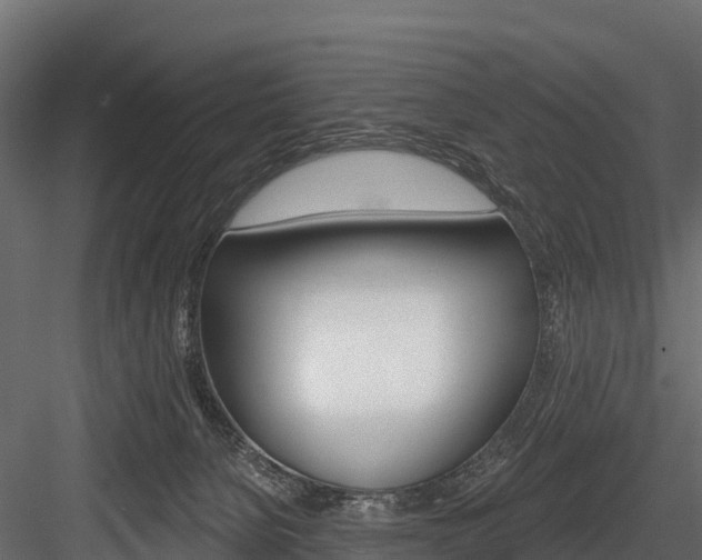 X0000084560080200702231013
